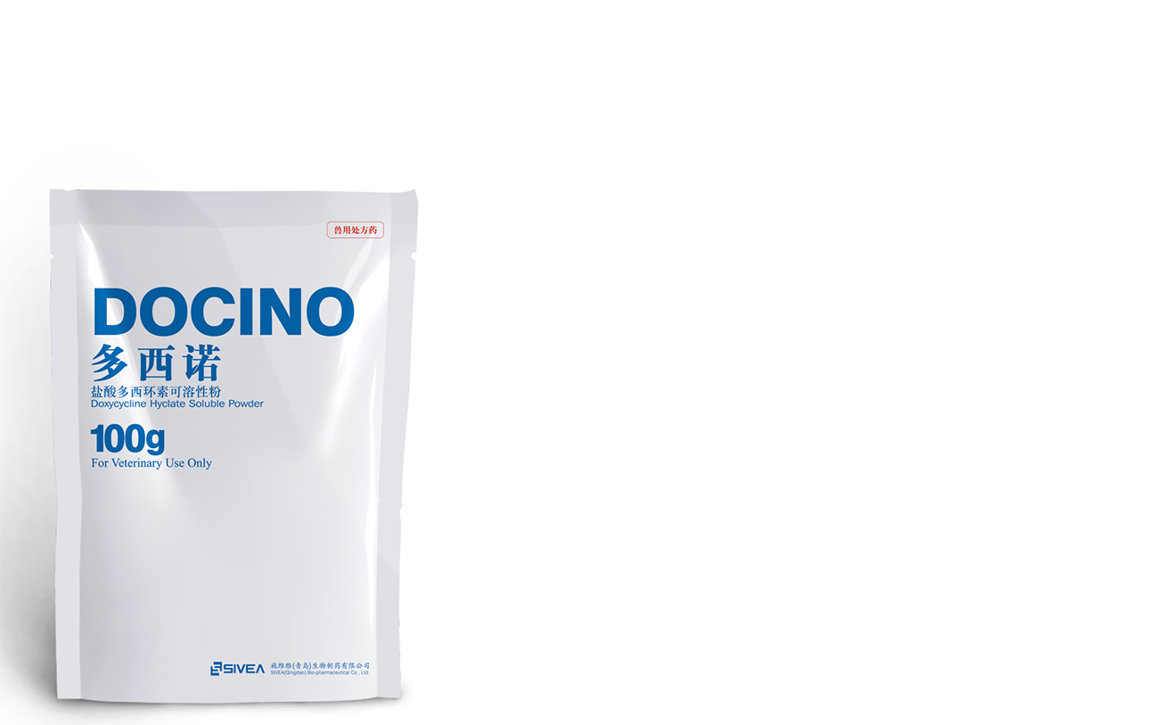 多西諾 DOCINO